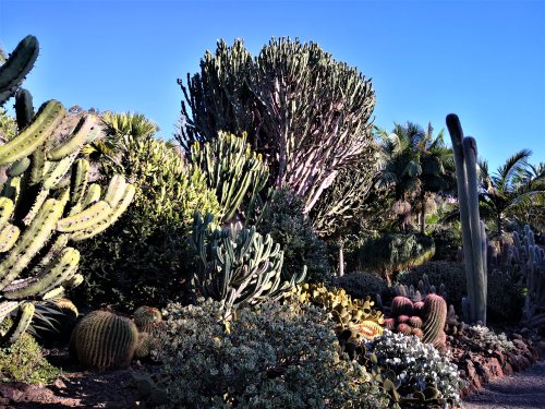 Arucas - Jardin de la Marquise